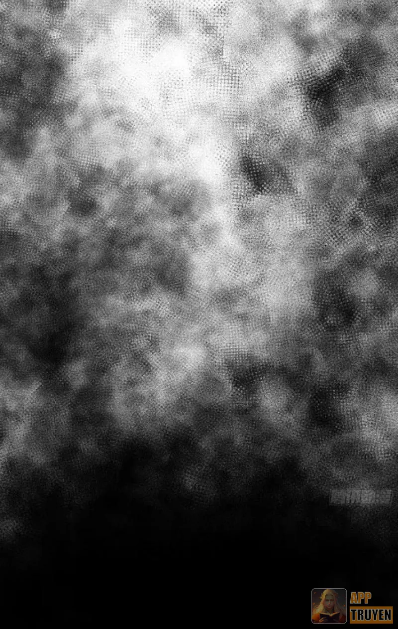 image 24