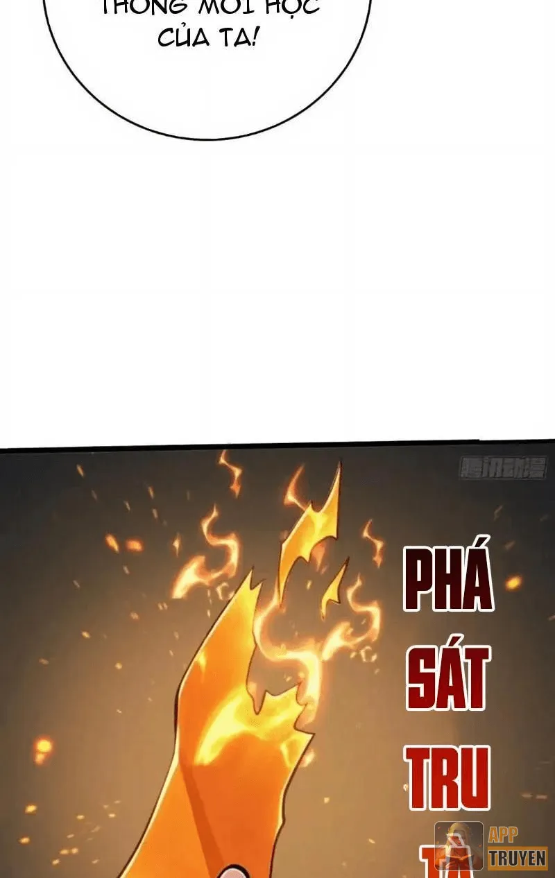 image 31