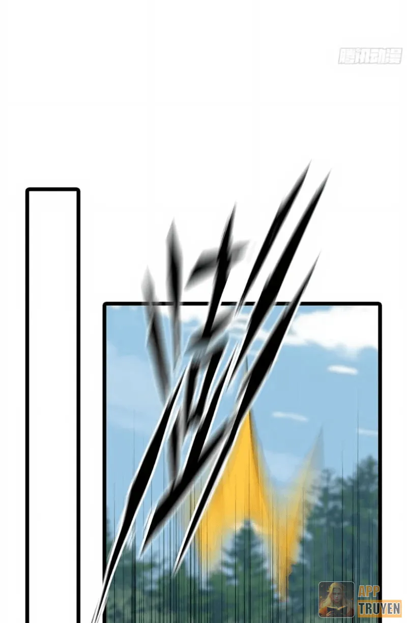 image 45