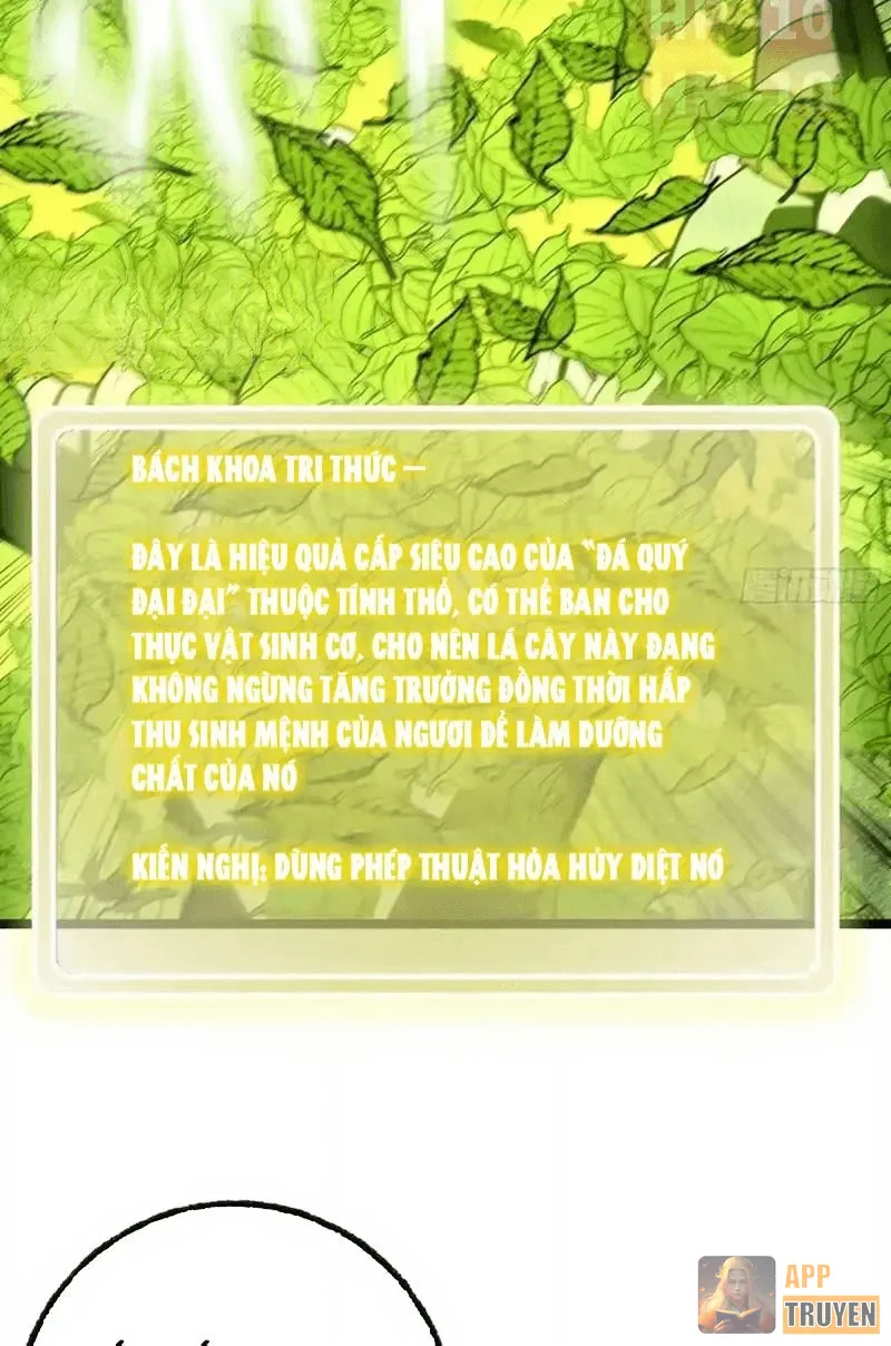 image 32