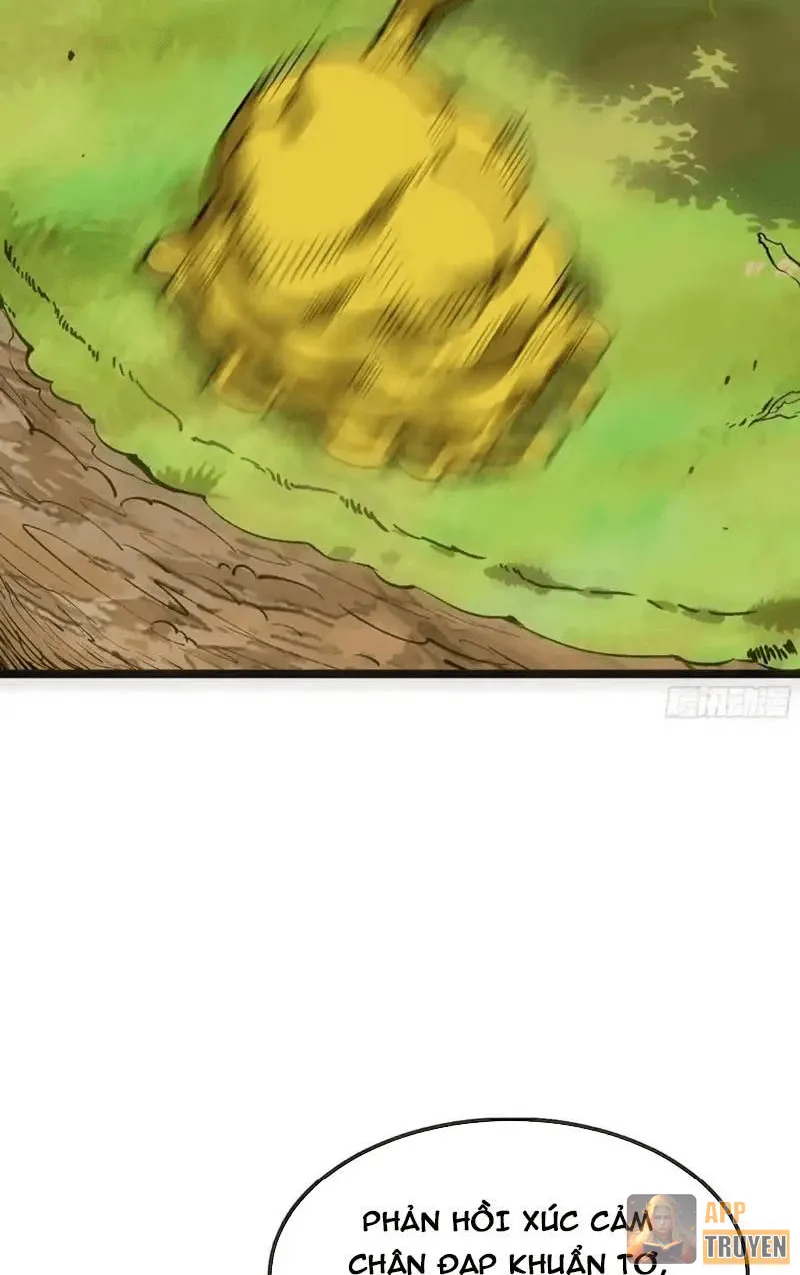image 47