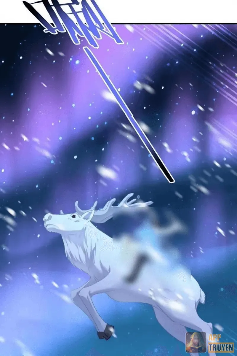 image 30