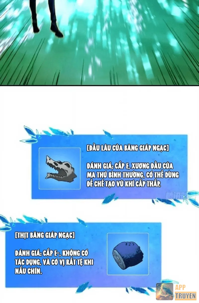 image 40