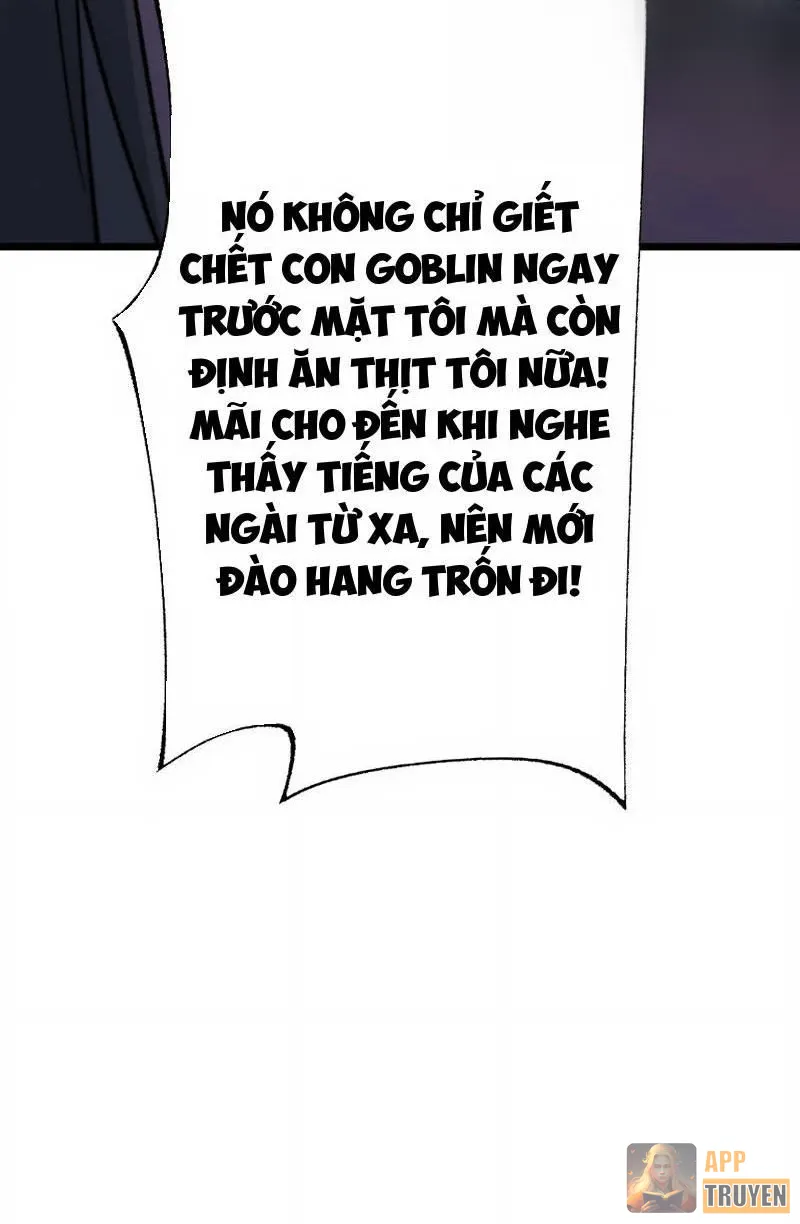 image 33