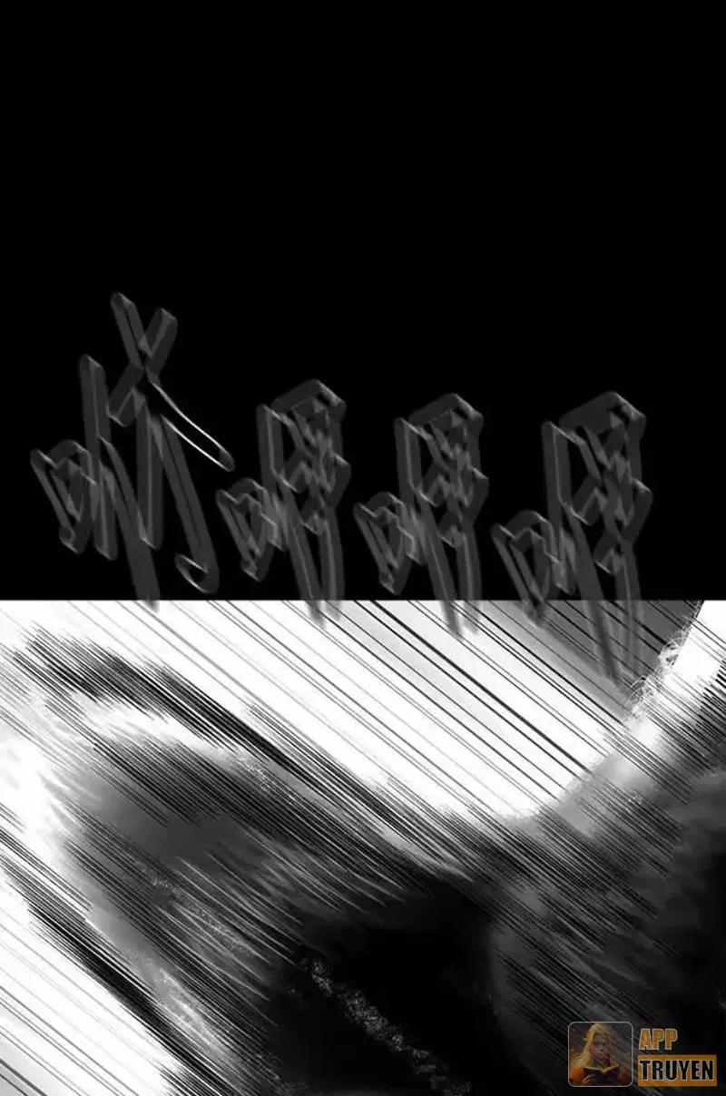 image 25