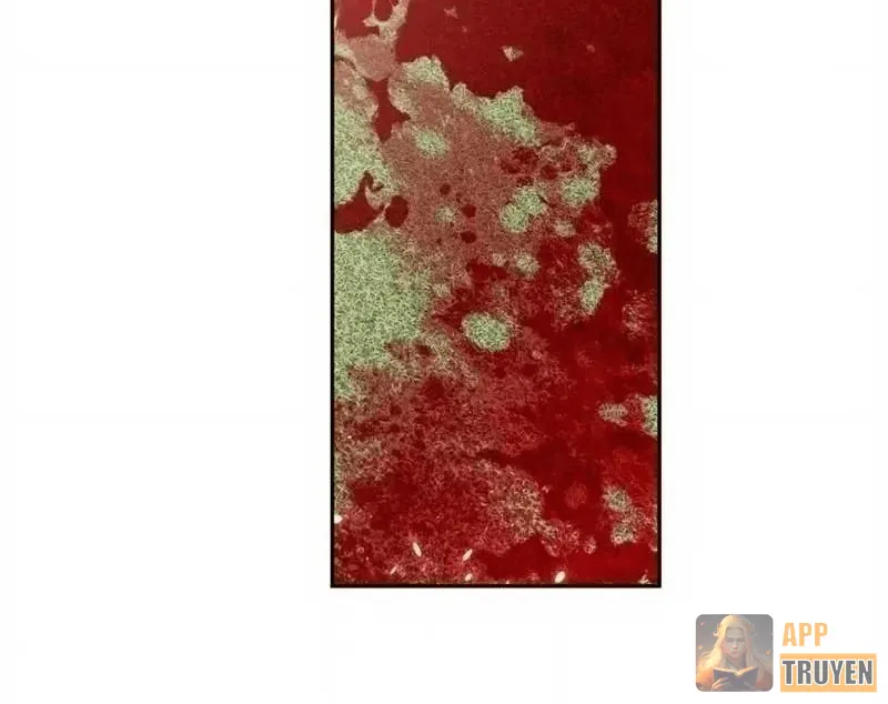 image 38