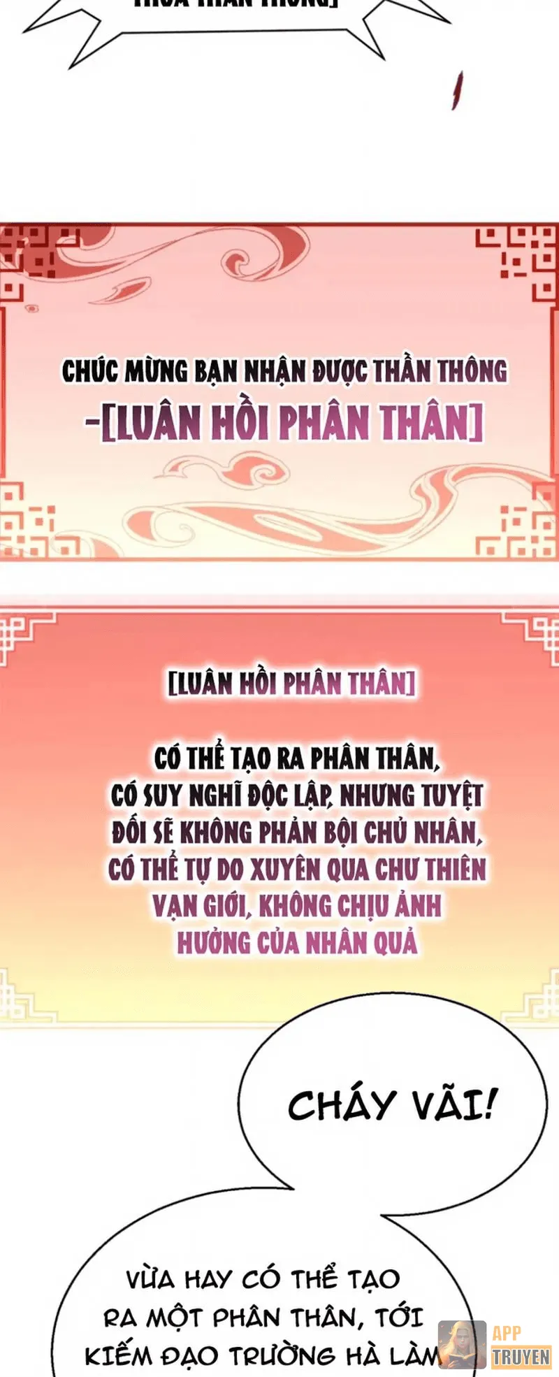 image 23