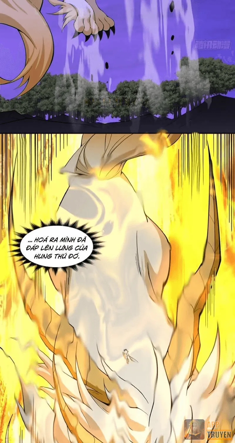 image 39