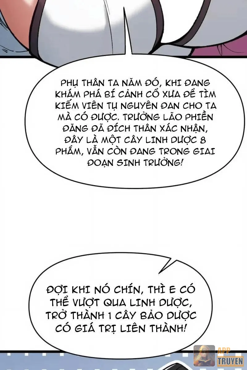 image 26