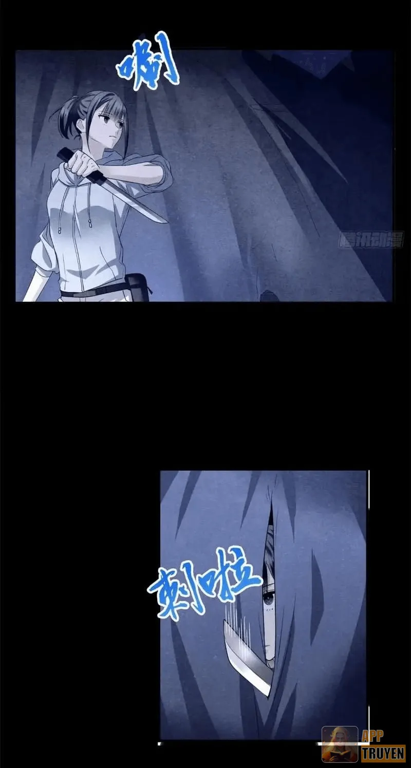 image 37