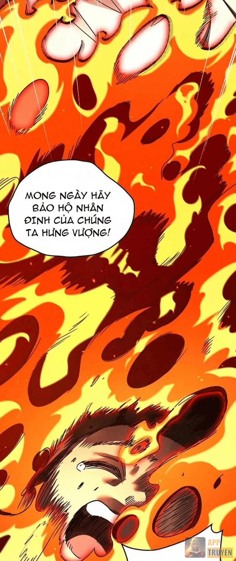 image 31