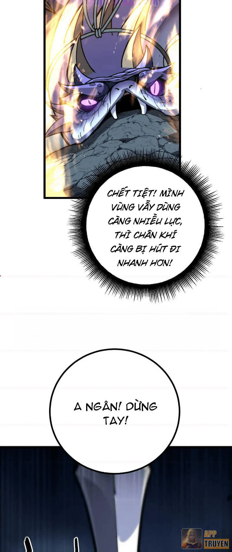 image 37