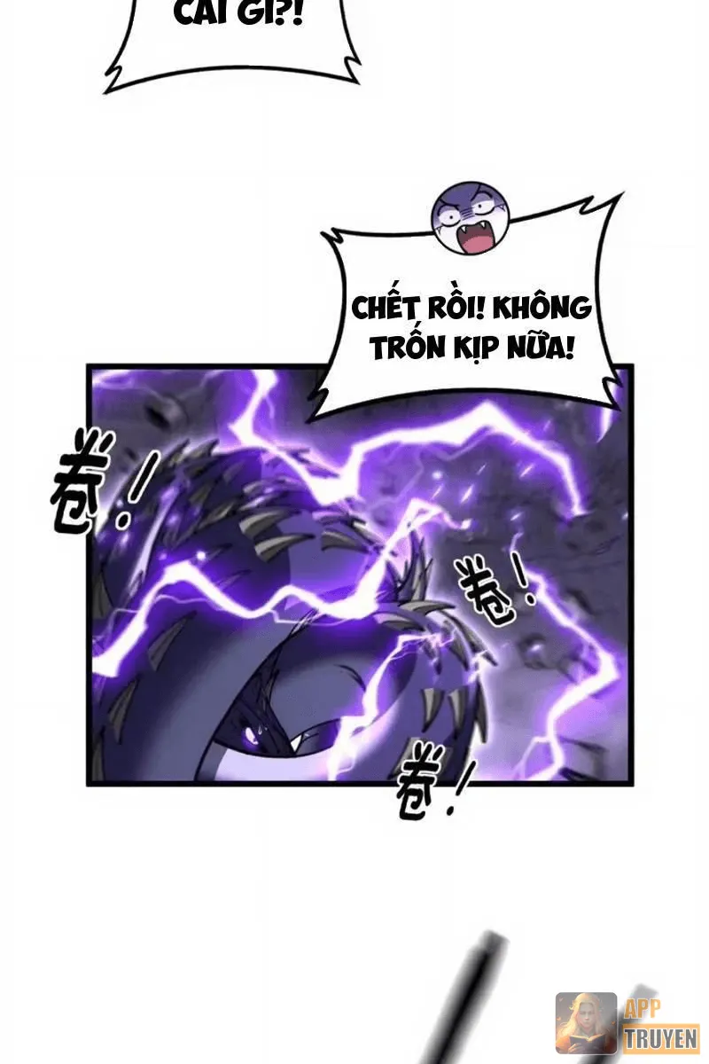 image 37