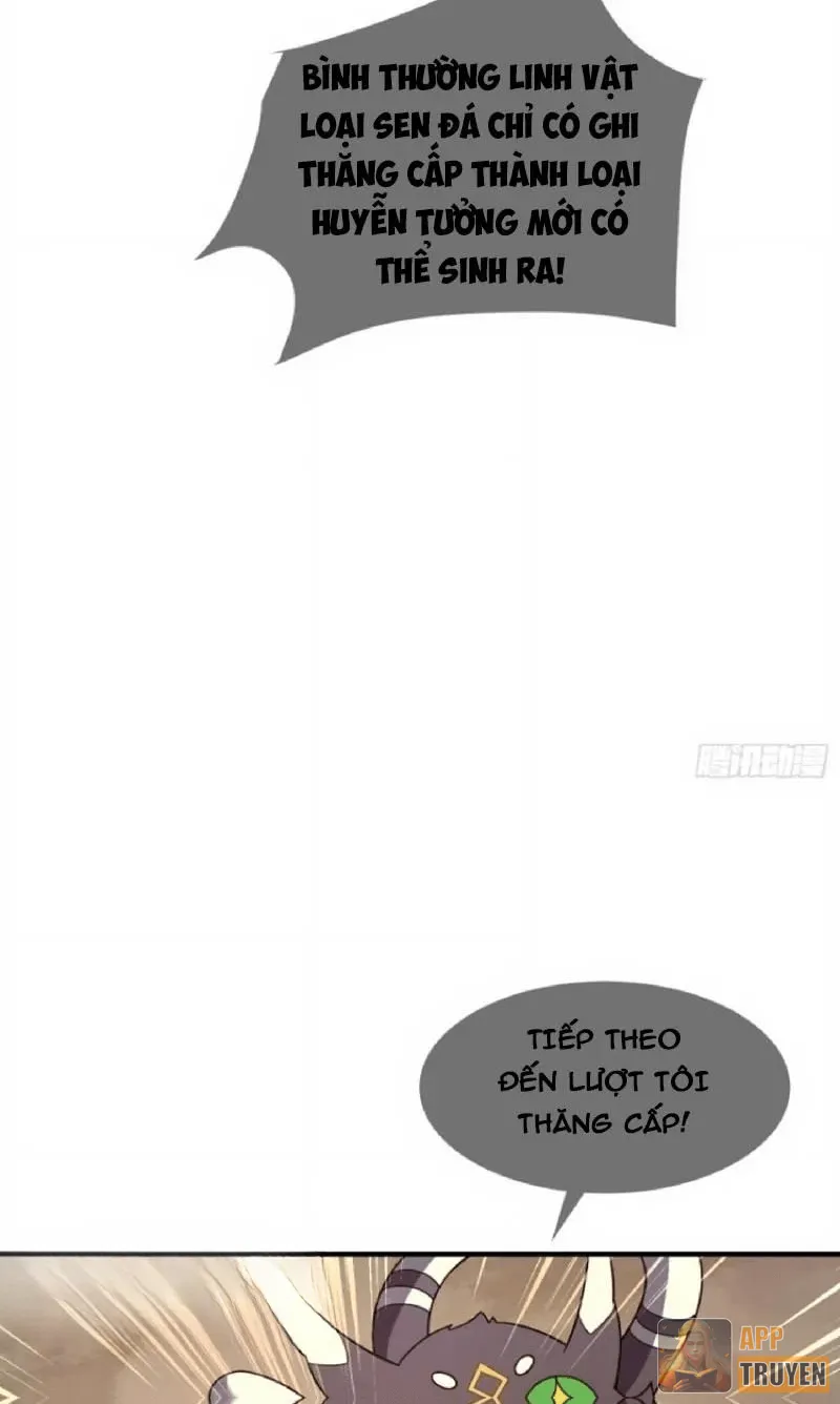 image 39