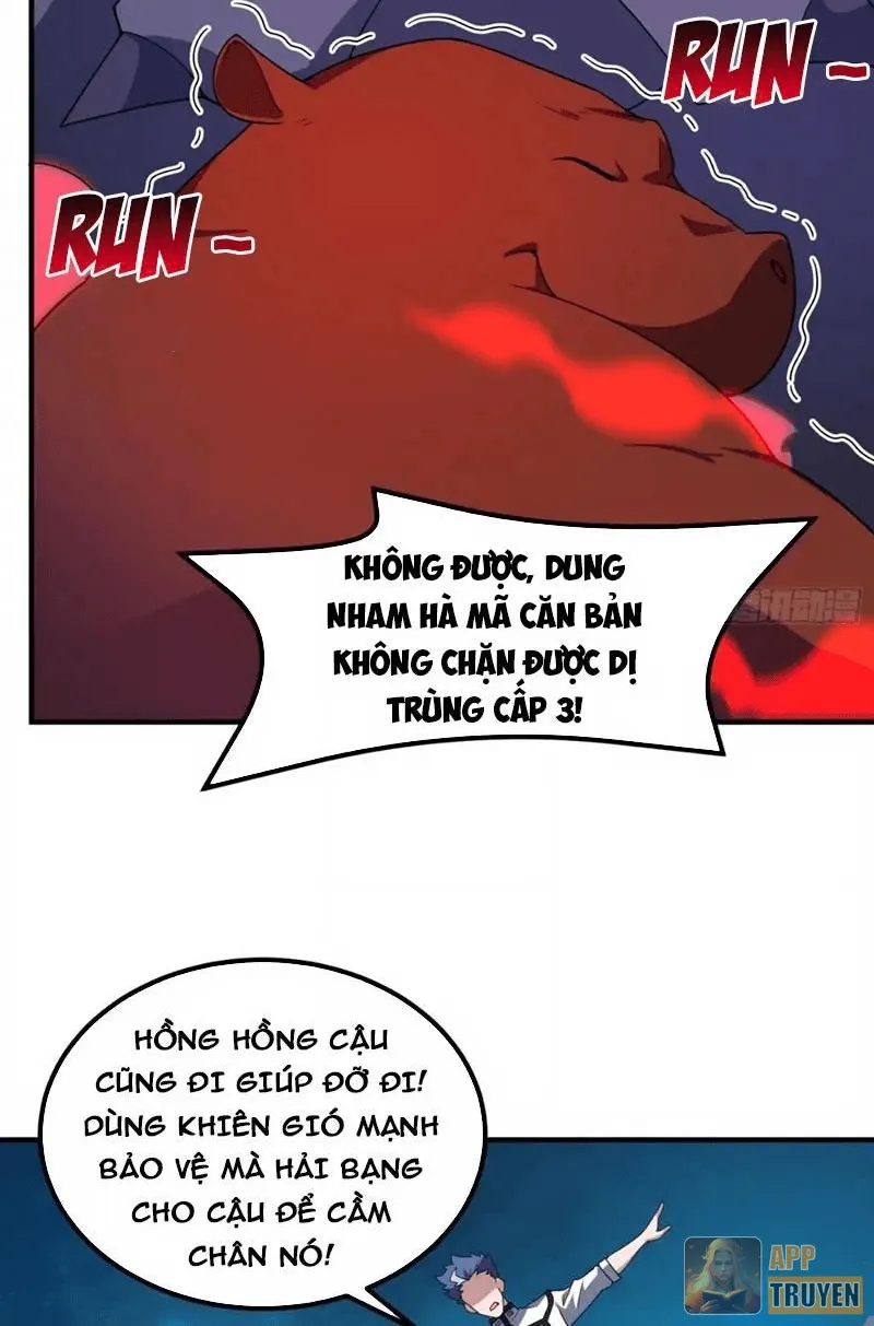 image 31