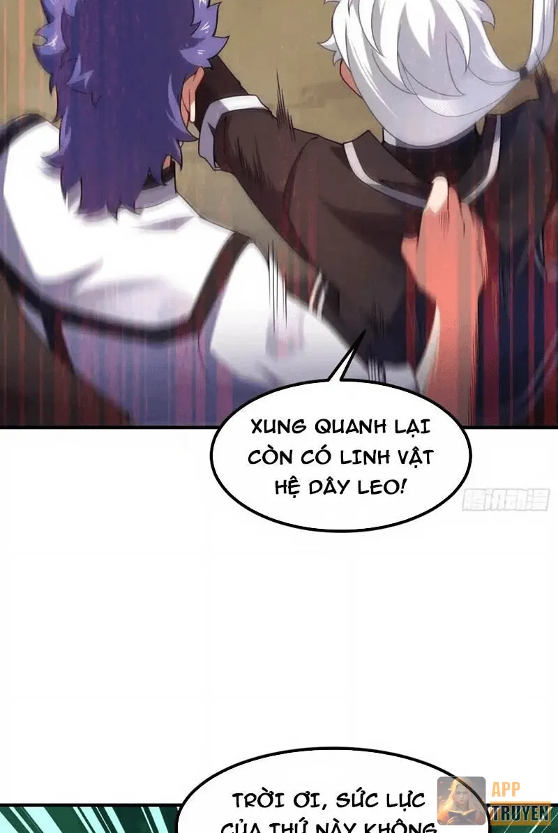 image 31