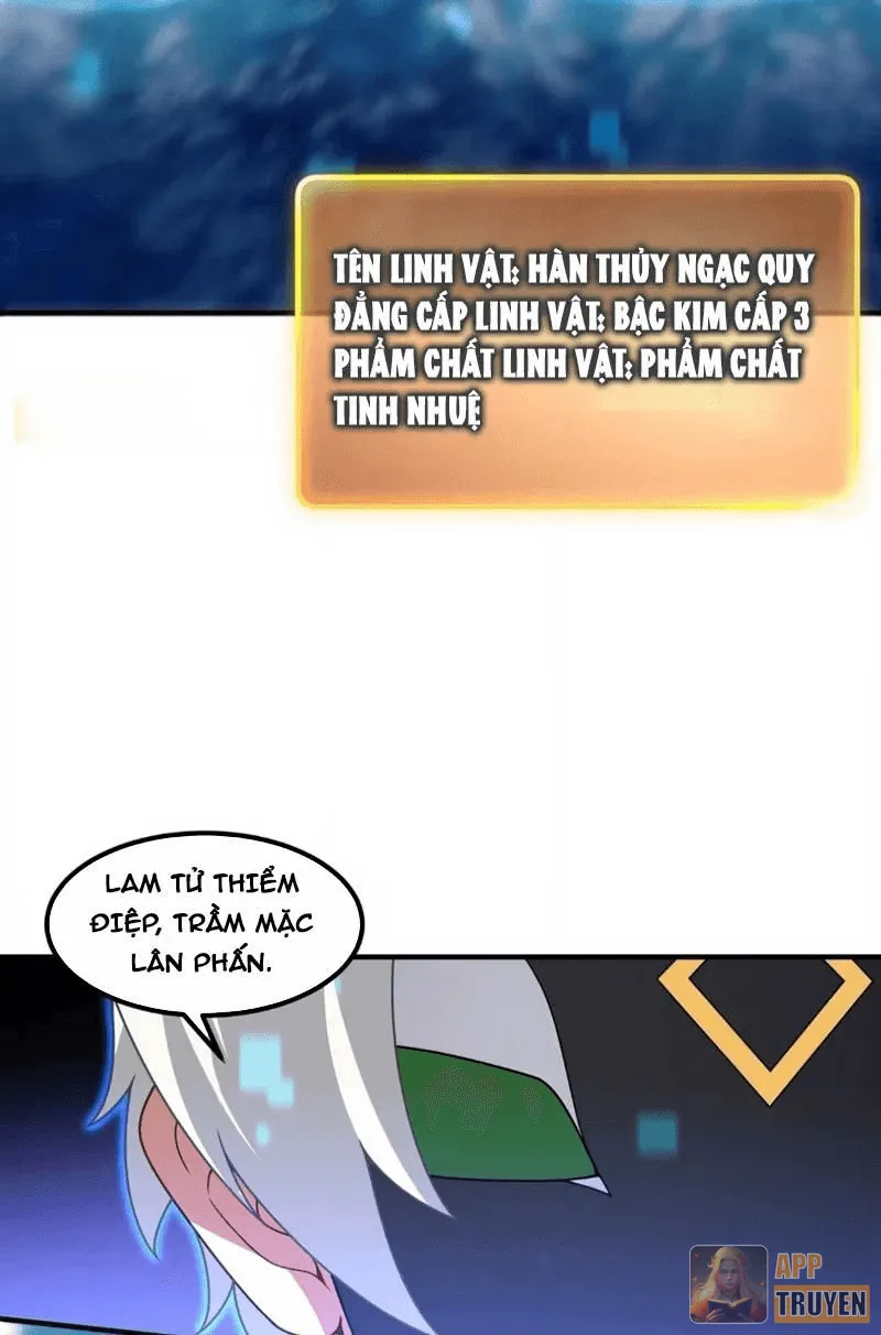image 24