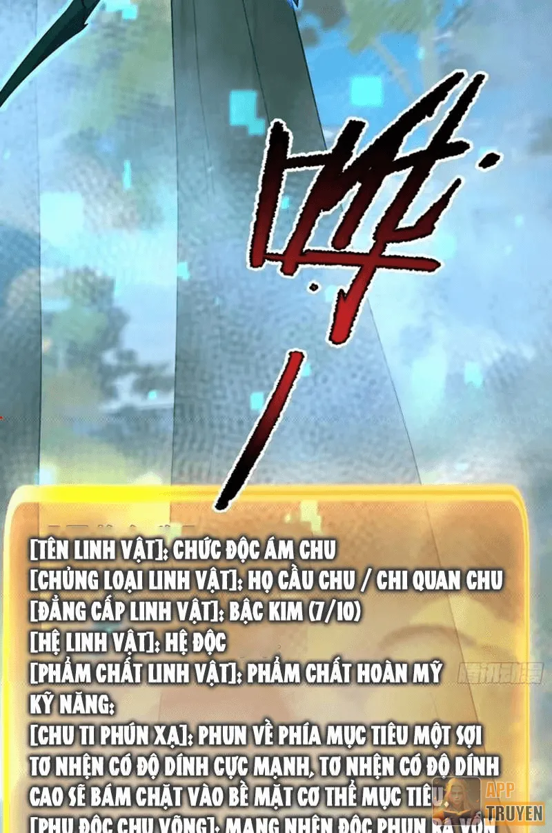 image 41