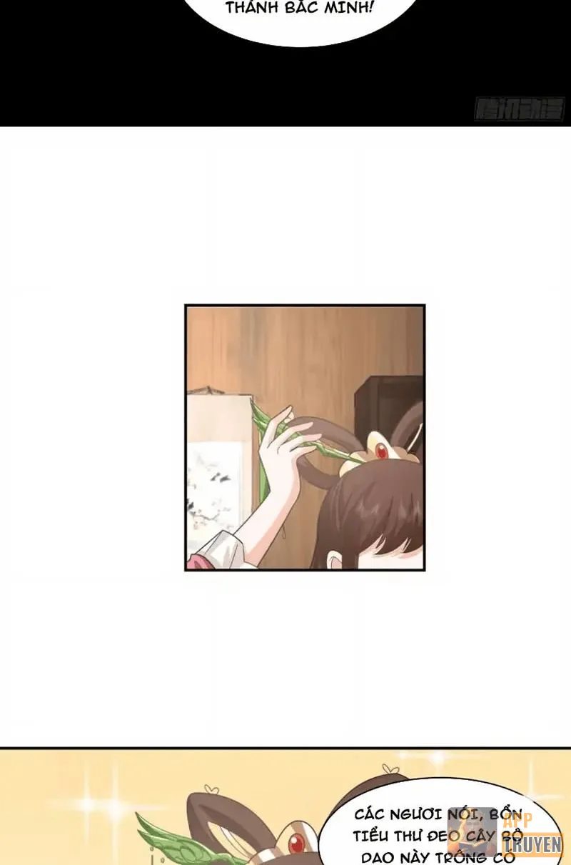 image 32