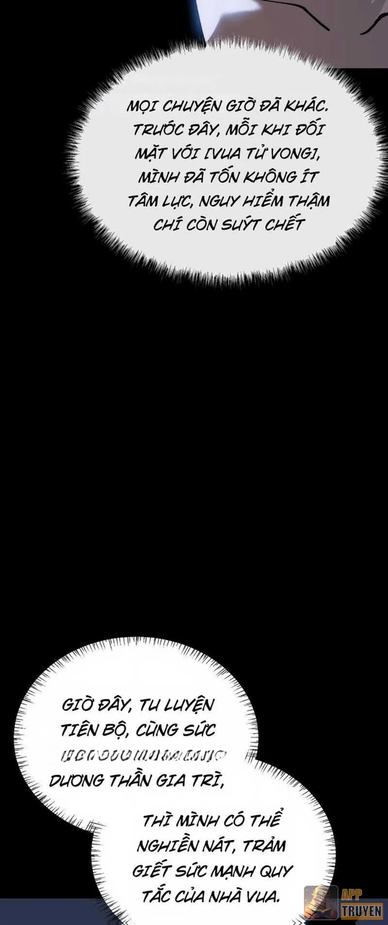 image 41