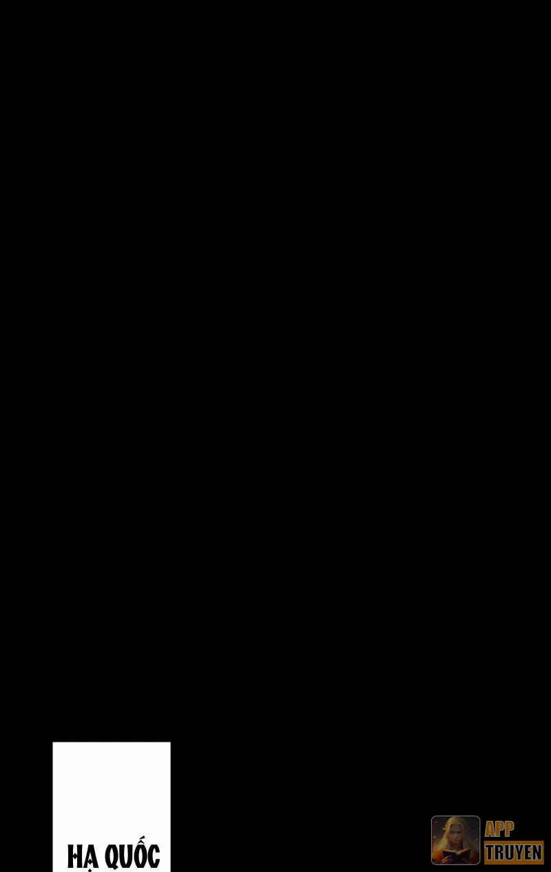 image 46