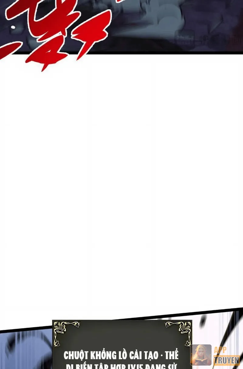image 23