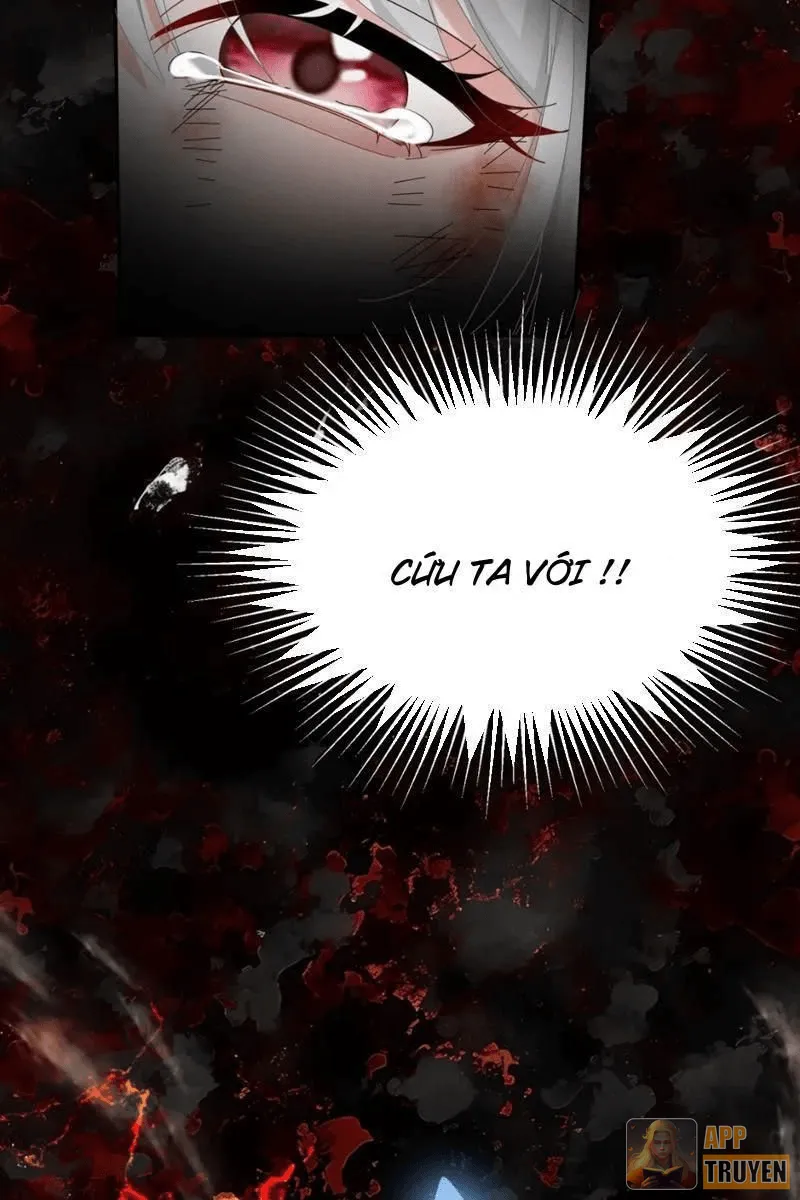 image 43