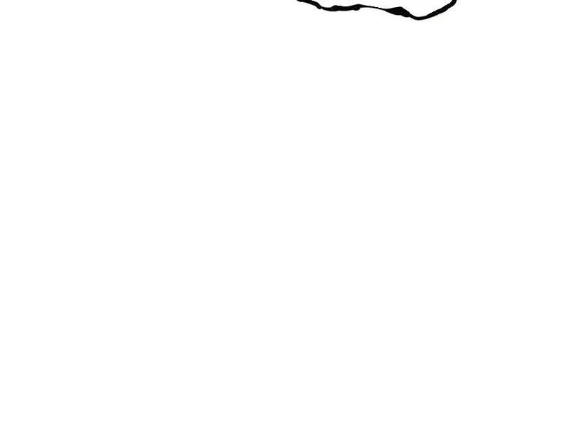 image 48