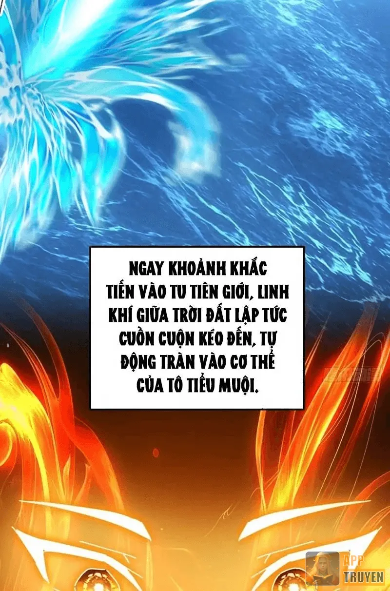 image 37