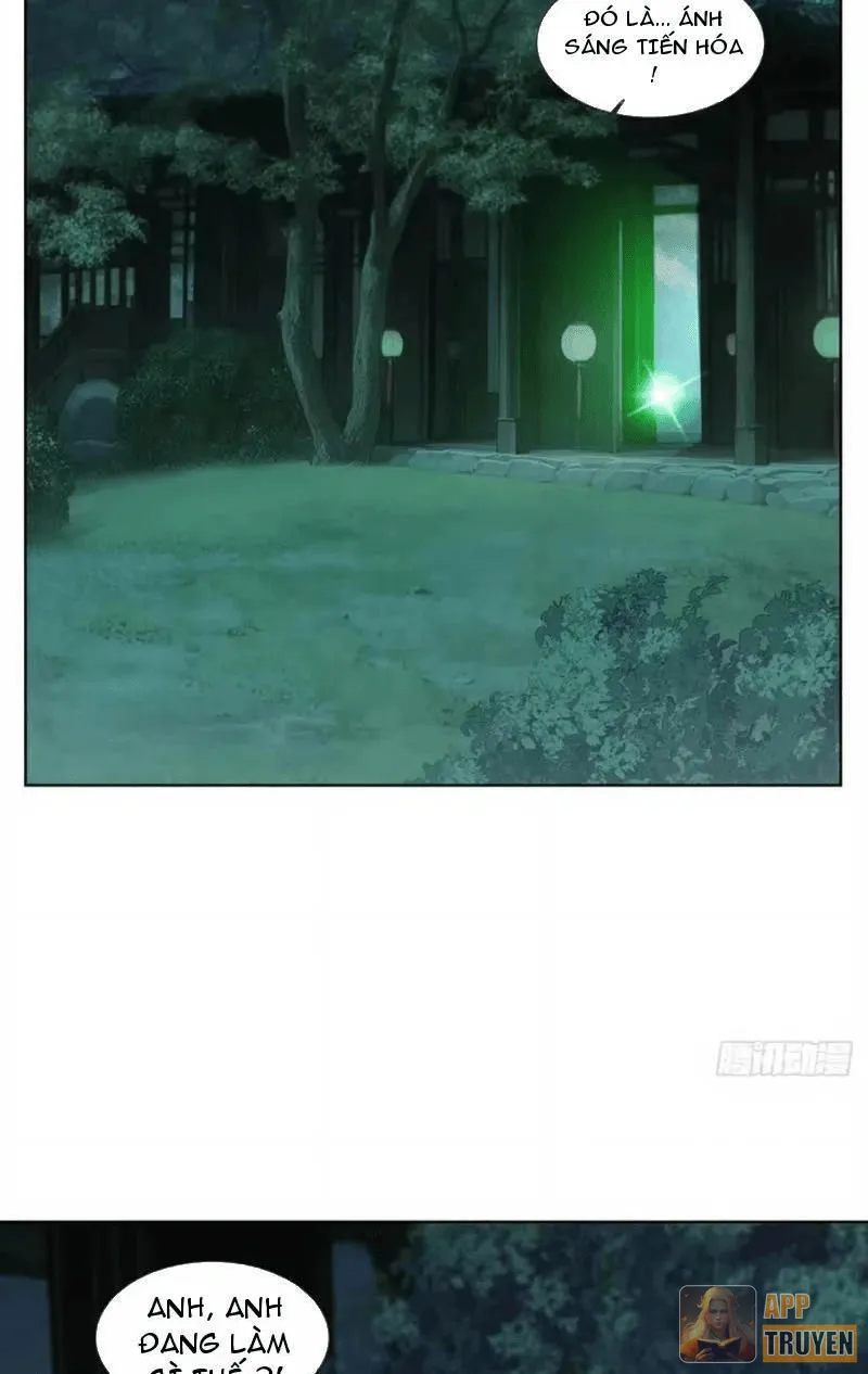 image 41