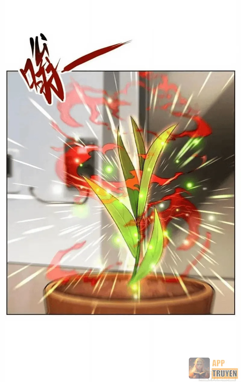 image 32