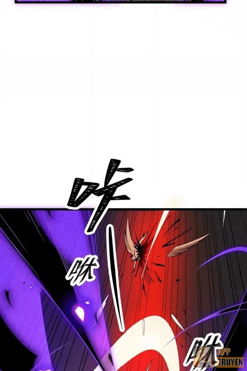 image 37