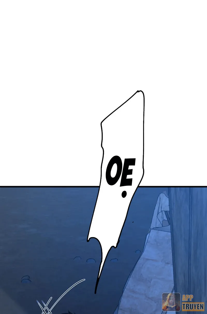 image 25