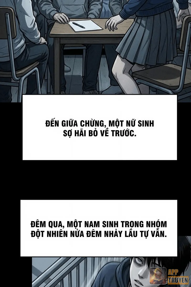 image 41