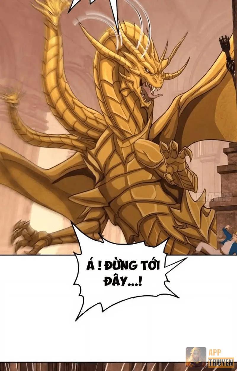 image 31
