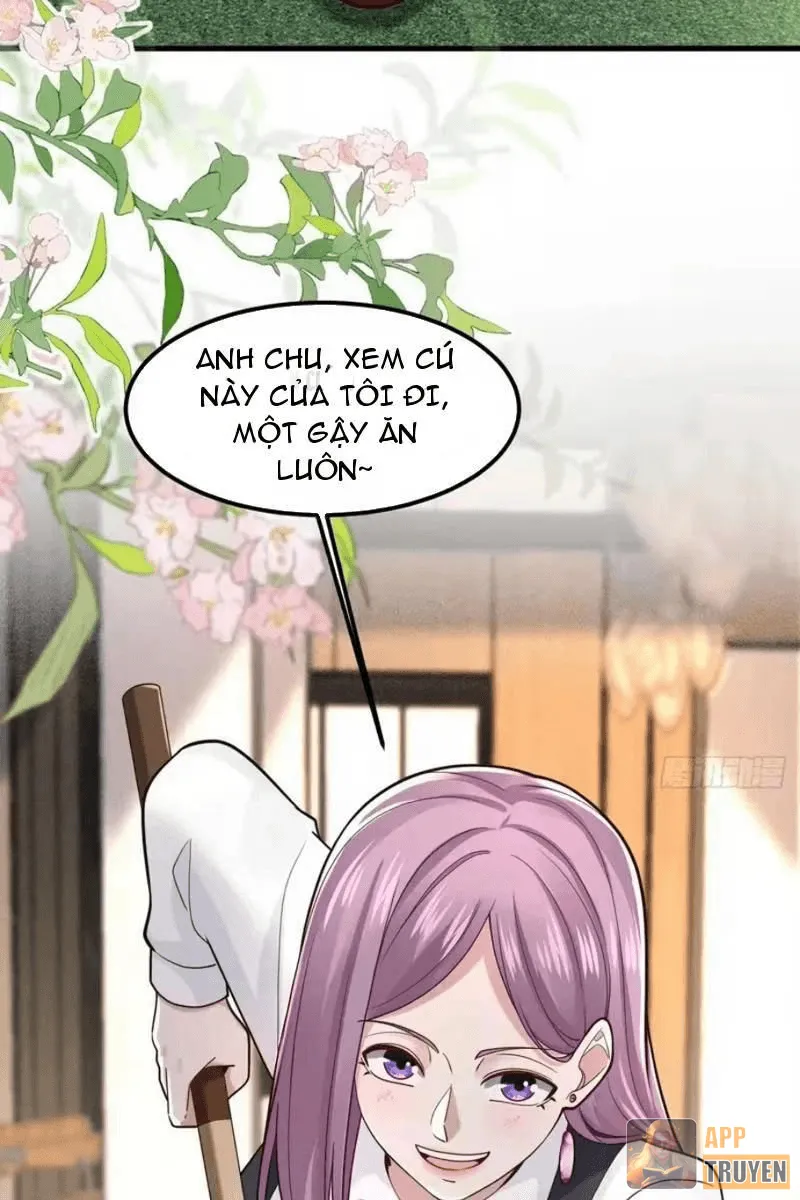 image 27