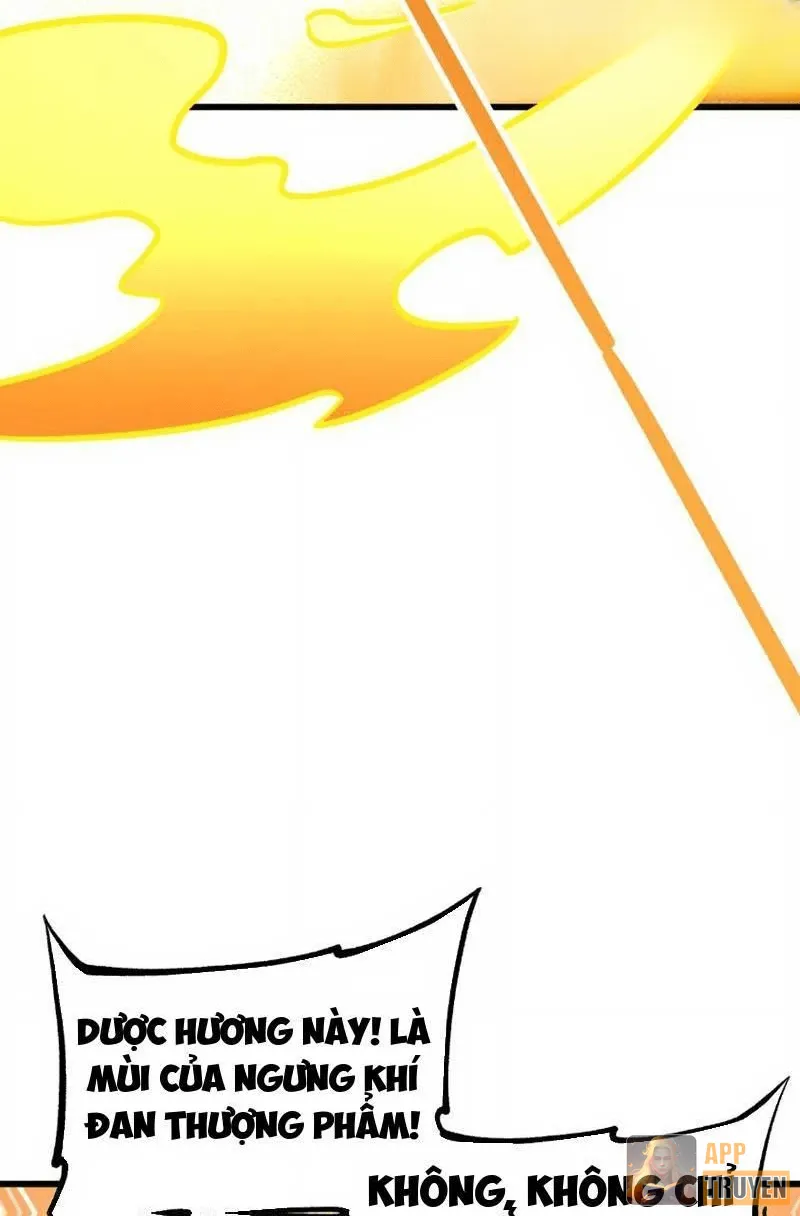 image 32