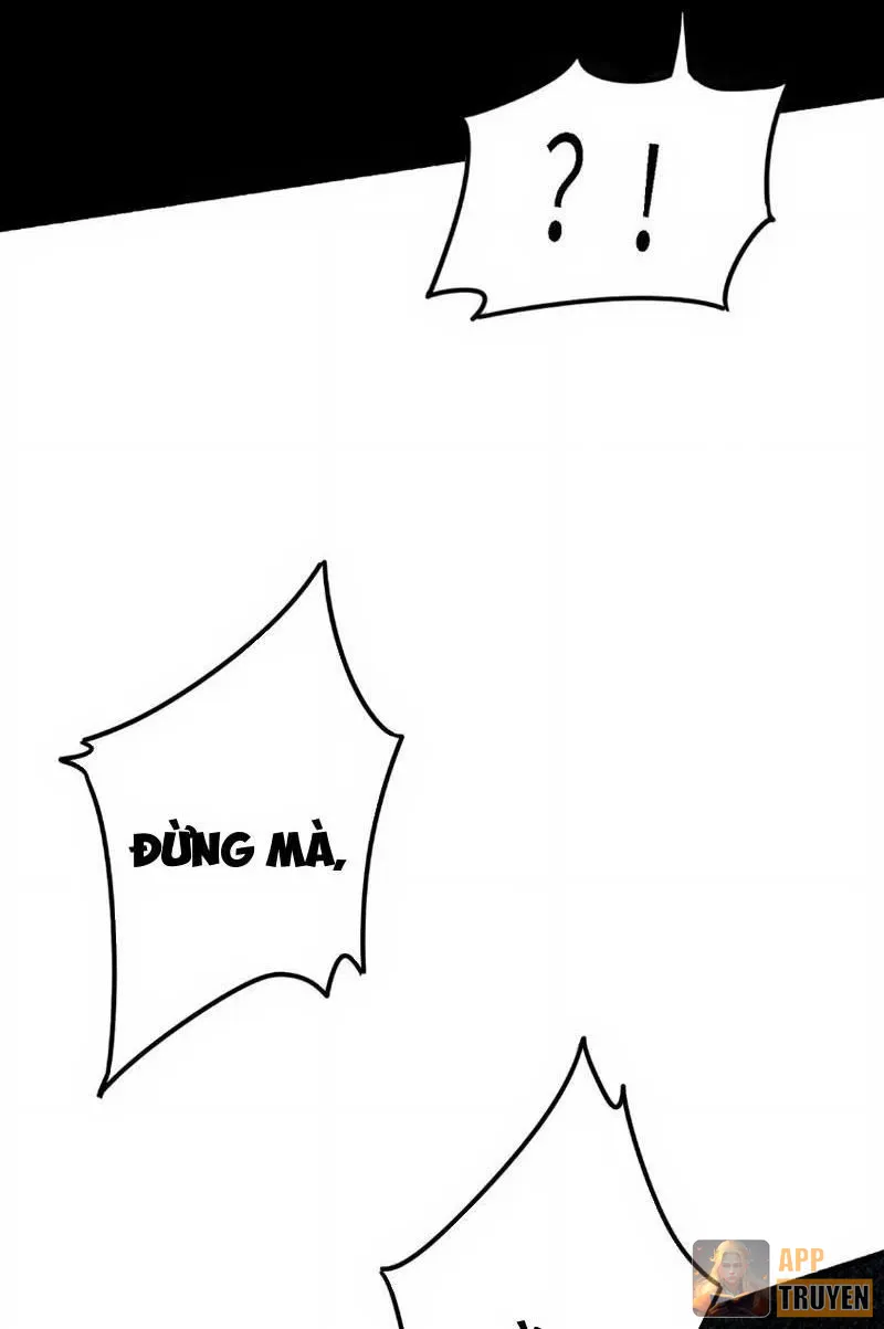 image 25