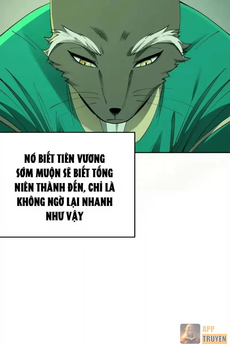image 37
