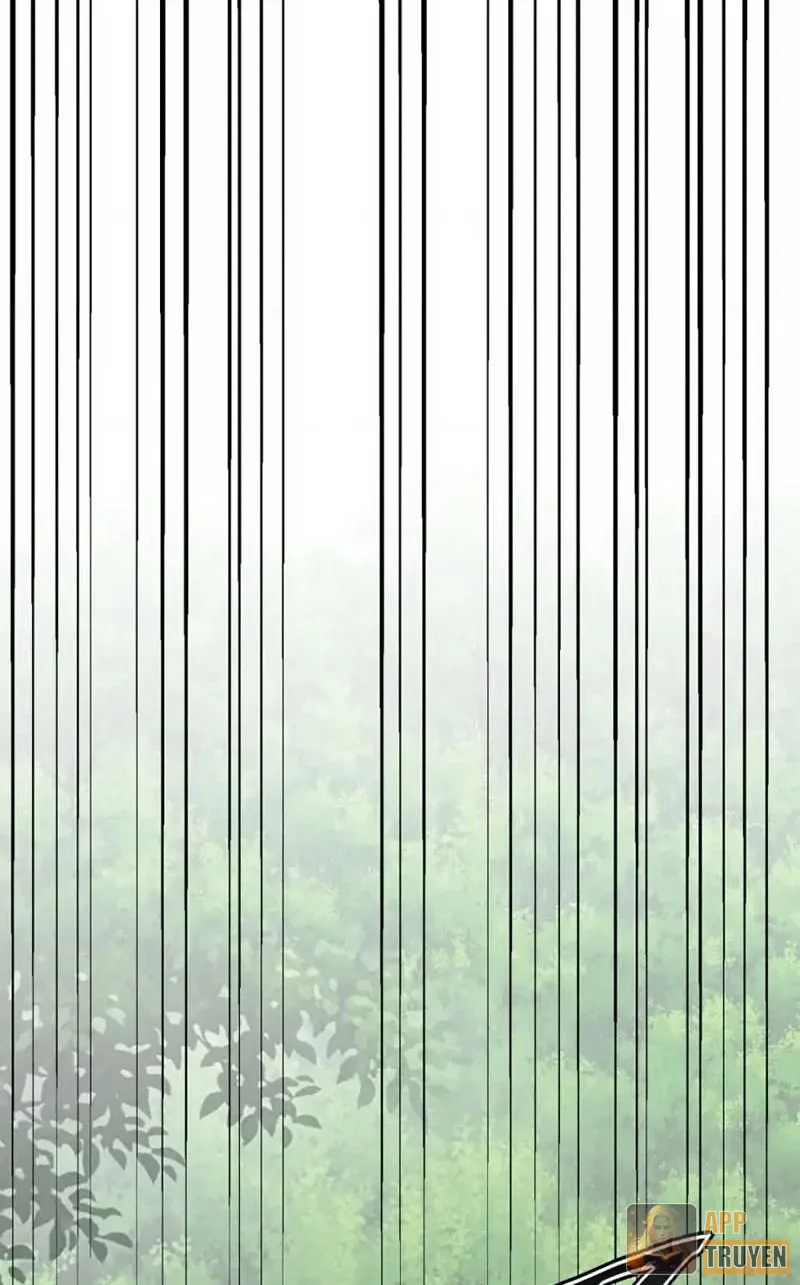 image 24
