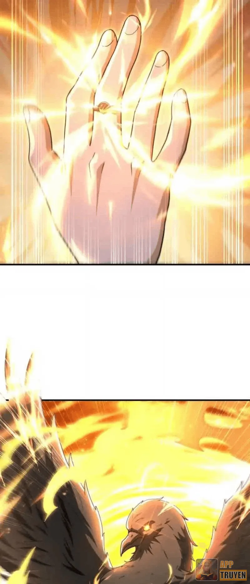 image 38
