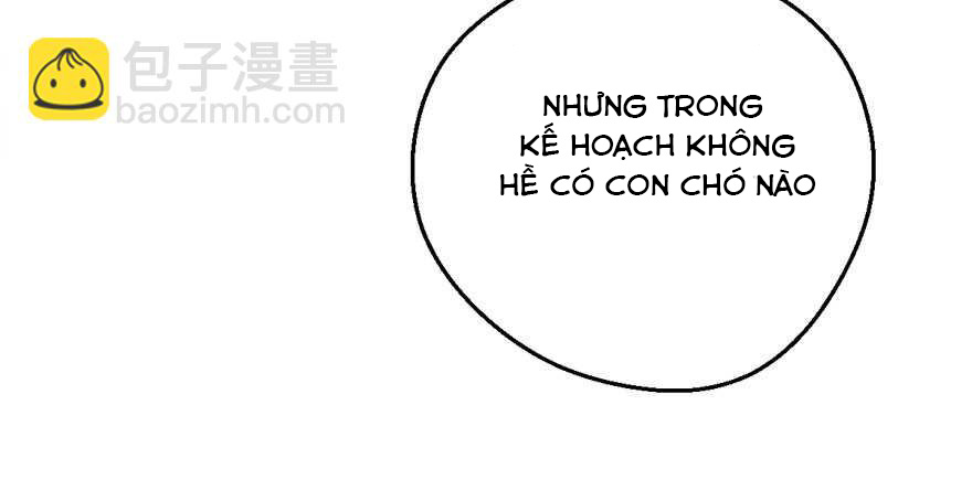 image 37