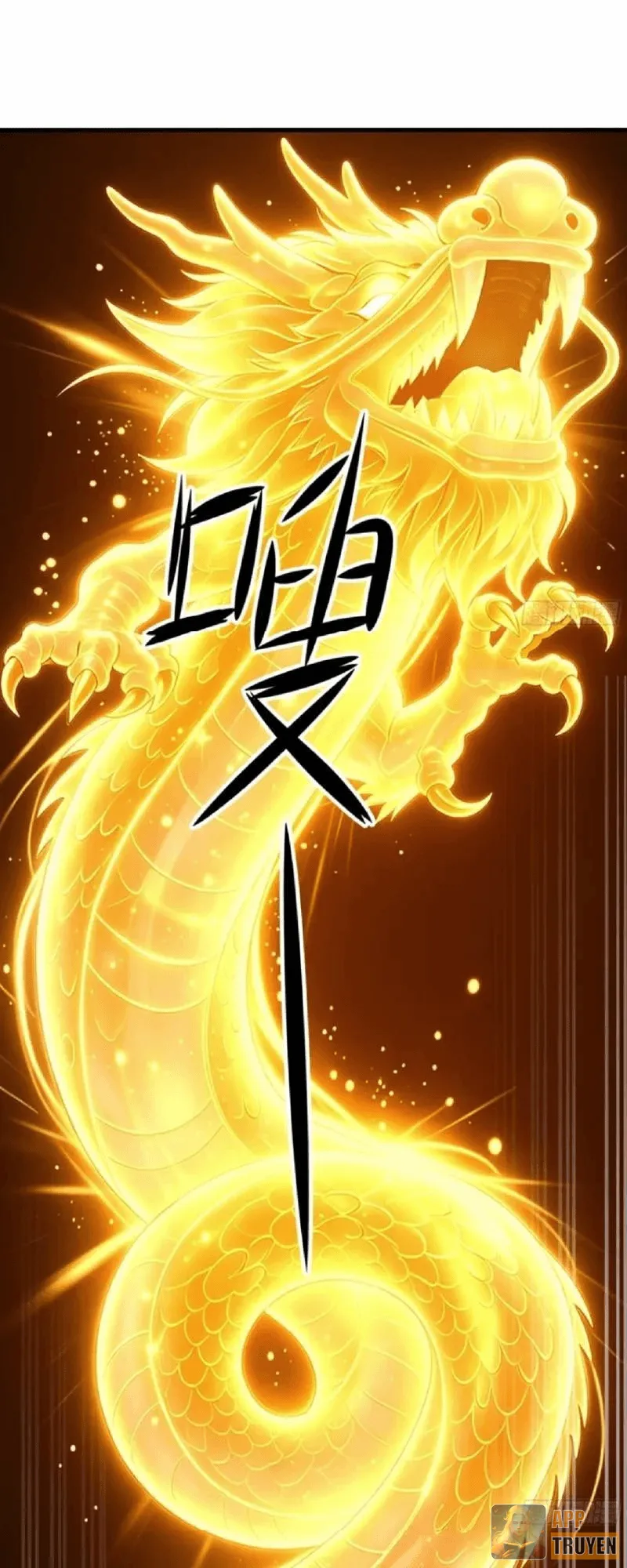image 31