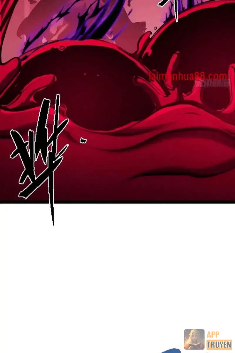 image 38