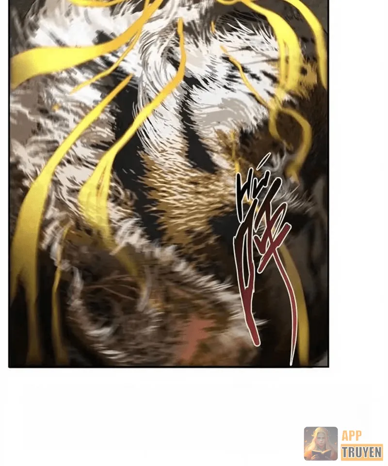 image 30