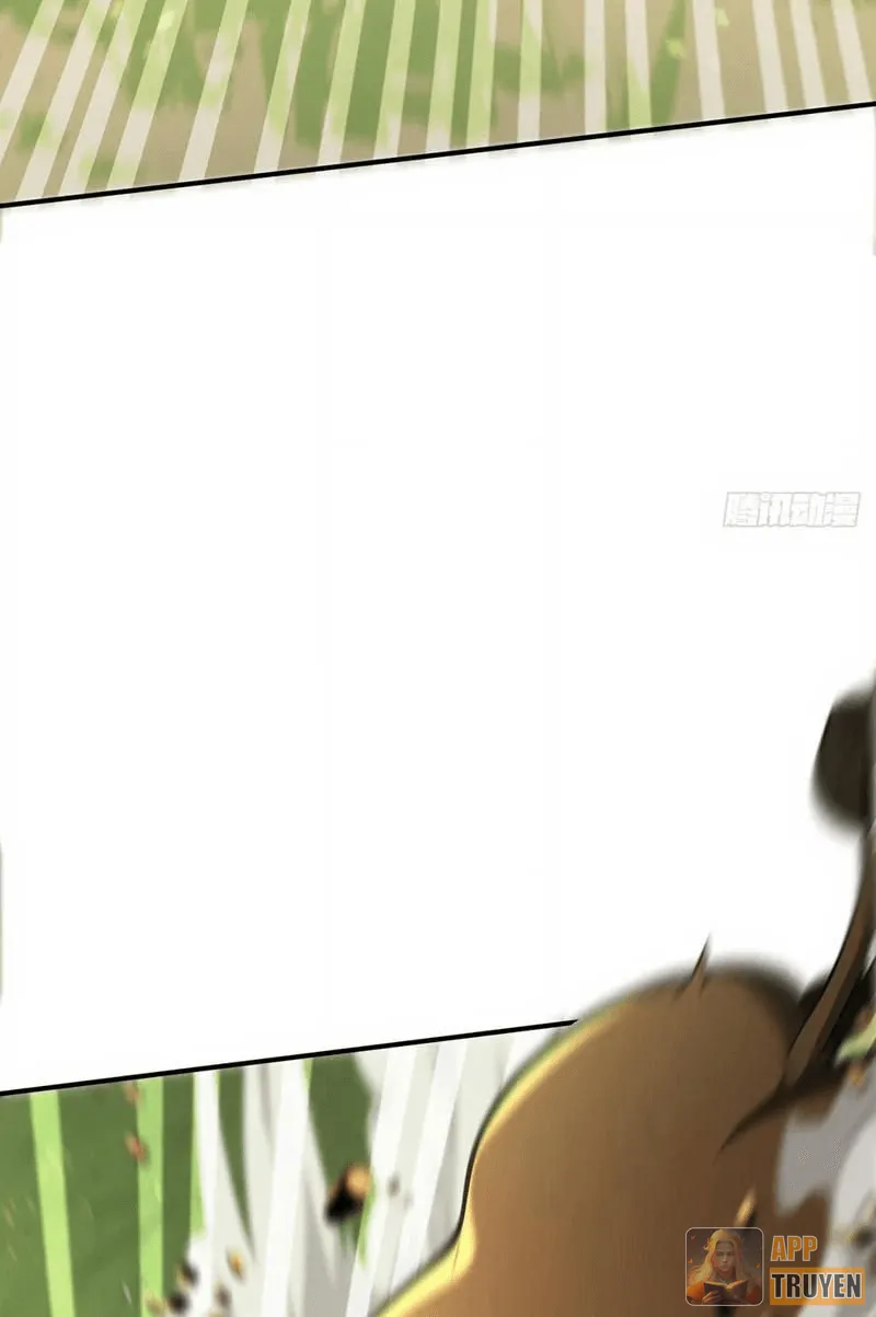 image 38