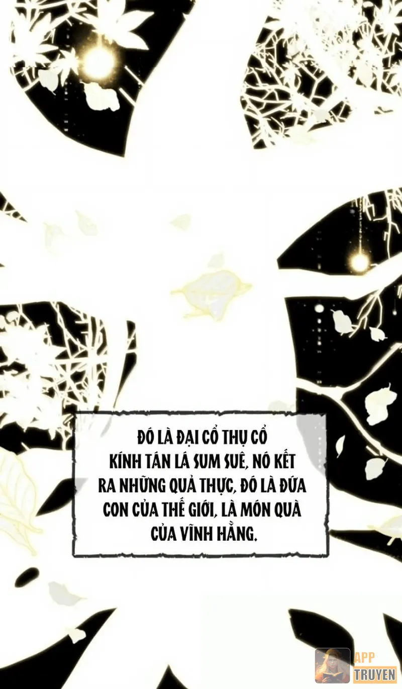 image 37